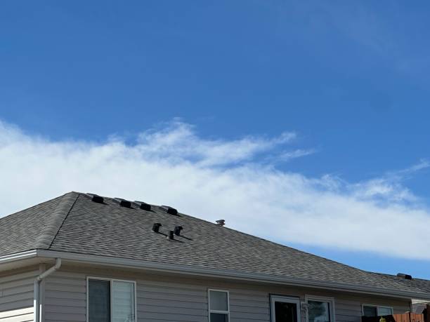 Best Commercial Roofing Services  in Mount Jackson, VA